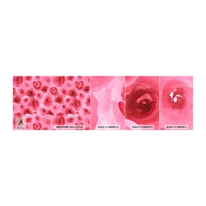 Fotobehang Staaltje Standard Eco - Rozen onder en boven - Bloemen, Schoonheid, Romantiek - 100x30 cm