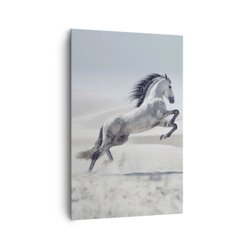 Schilderen op canvas - Arabische prins - 80x120 cm