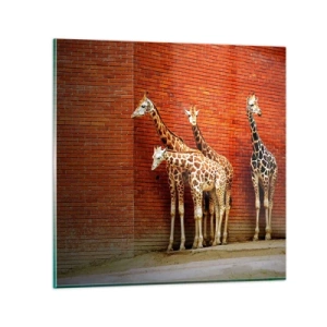 Schilderen op glas - Zie je acacia? - 50x50 cm