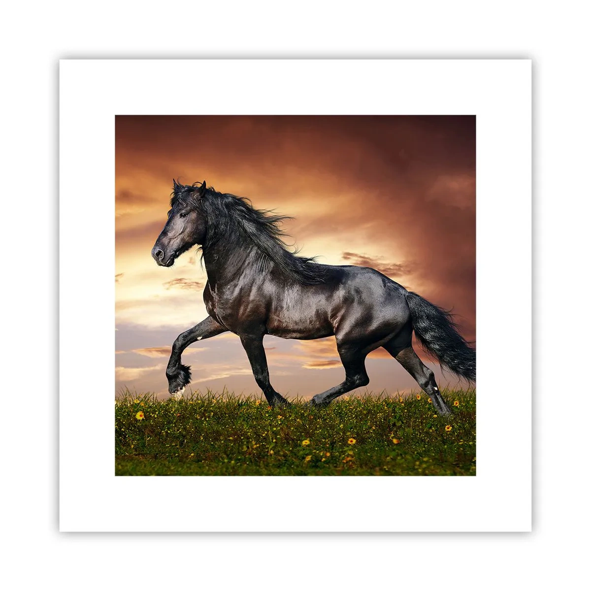Poster - Zwarte Prins - 30x30 cm
