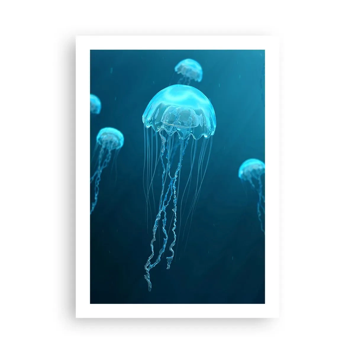 Poster - Oceaandans - 50x70 cm