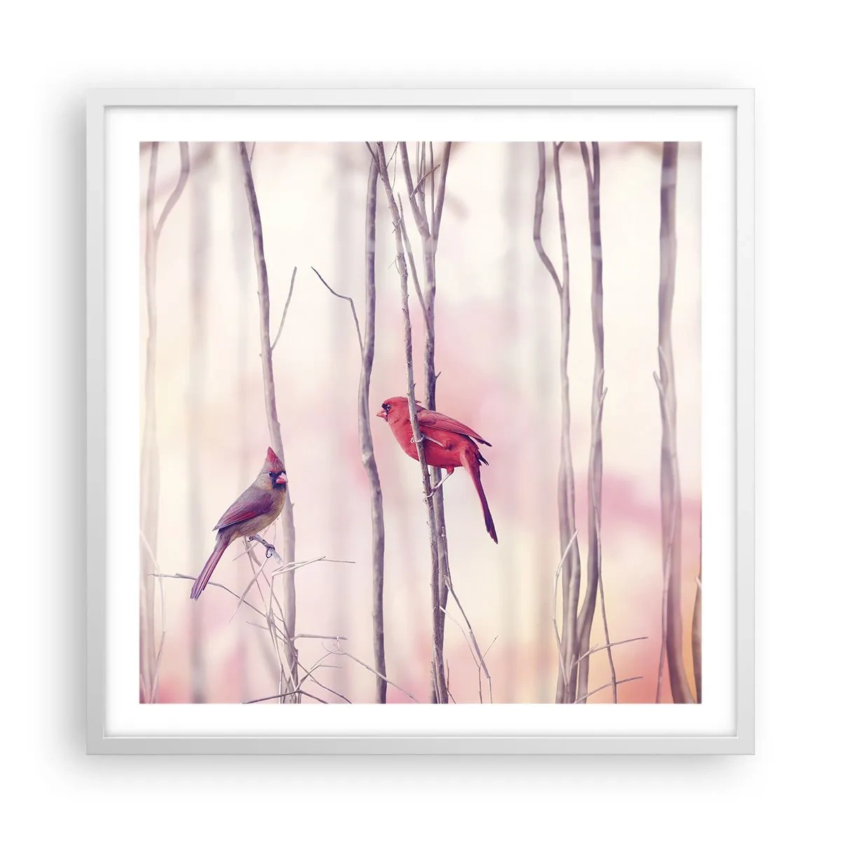 Poster in een witte lijst - Verhaal van het roze woud - 60x60 cm