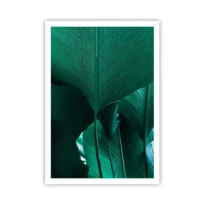 Poster - Naar het licht gekeerd - 70x100 cm