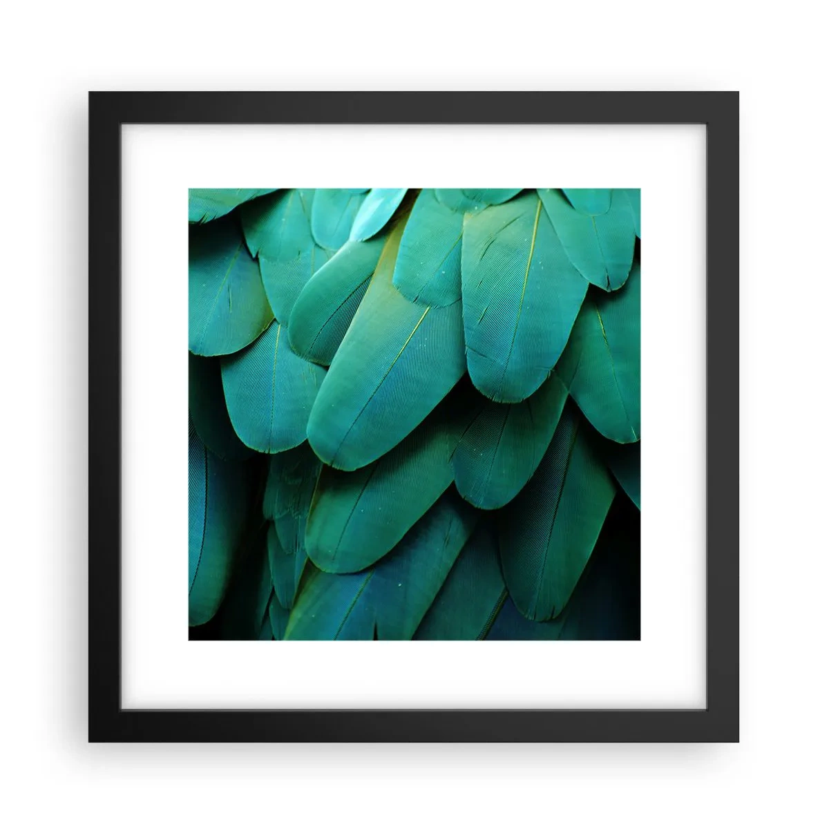 Poster in een zwarte lijst - Papegaaiachtige precisie - 30x30 cm