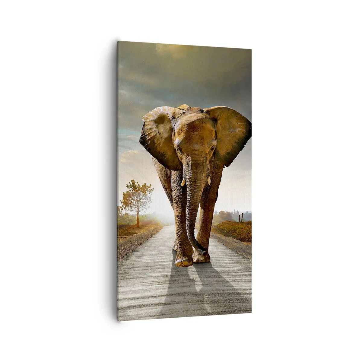 Schilderen op canvas - En helemaal niet in een porseleinen pakhuis - 65x120 cm