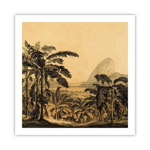 Poster - in een koloniaal klimaat - 60x60 cm