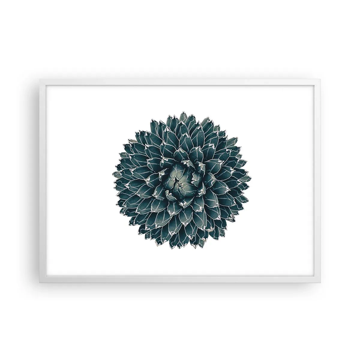 Poster in een witte lijst - De ster van de woestijn - 70x50 cm