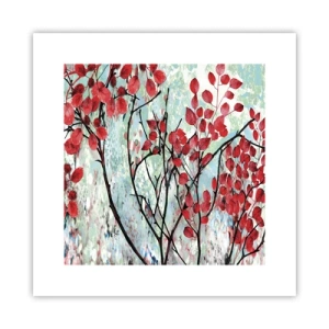 Poster - Boom in scharlaken - 30x30 cm