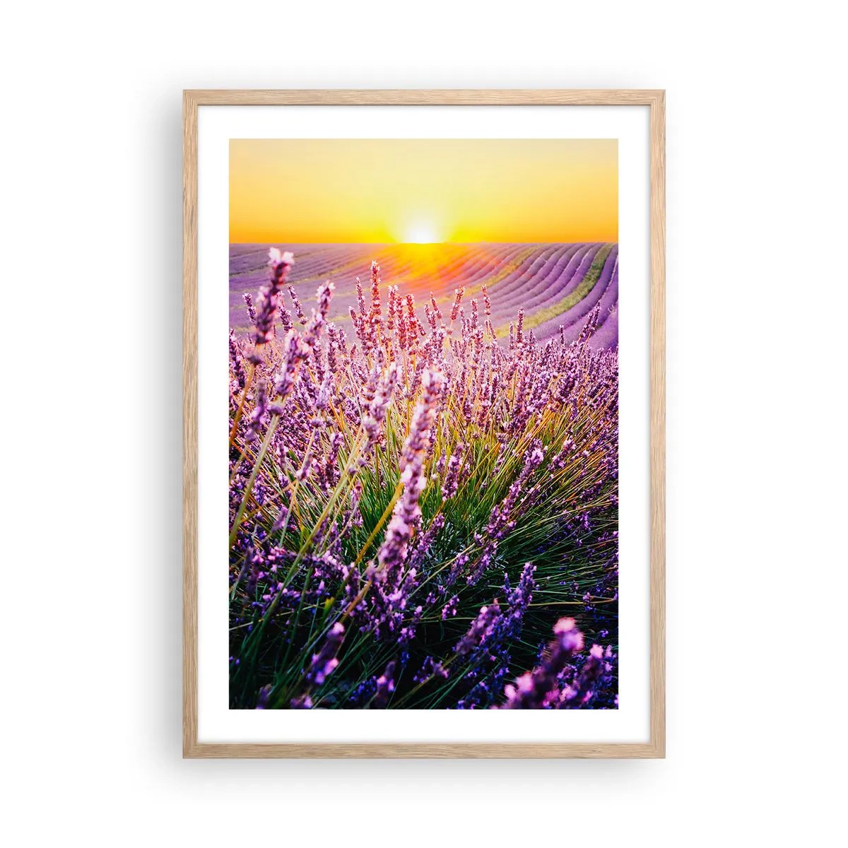 Een poster in een licht eiken lijst - Geurige korenvelden - 50x70 cm