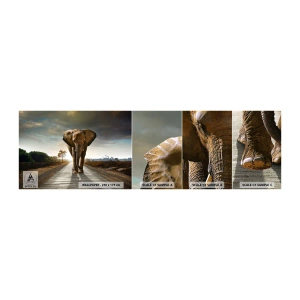 Fotobehang Monster Zelfklevend Deluxe Sticker - En helemaal niet in een porseleinen pakhuis - Olifant, Landschap, Natuur - 100x30 cm
