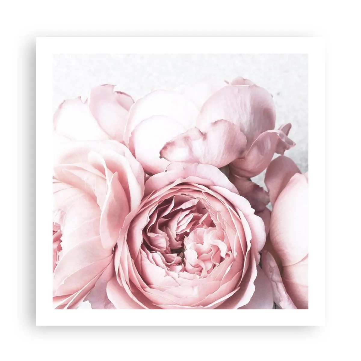 Poster - Voor romantici - 60x60 cm