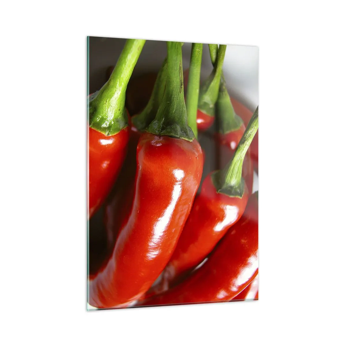 Schilderen op glas - Sappig, glanzend, glad - 50x70 cm