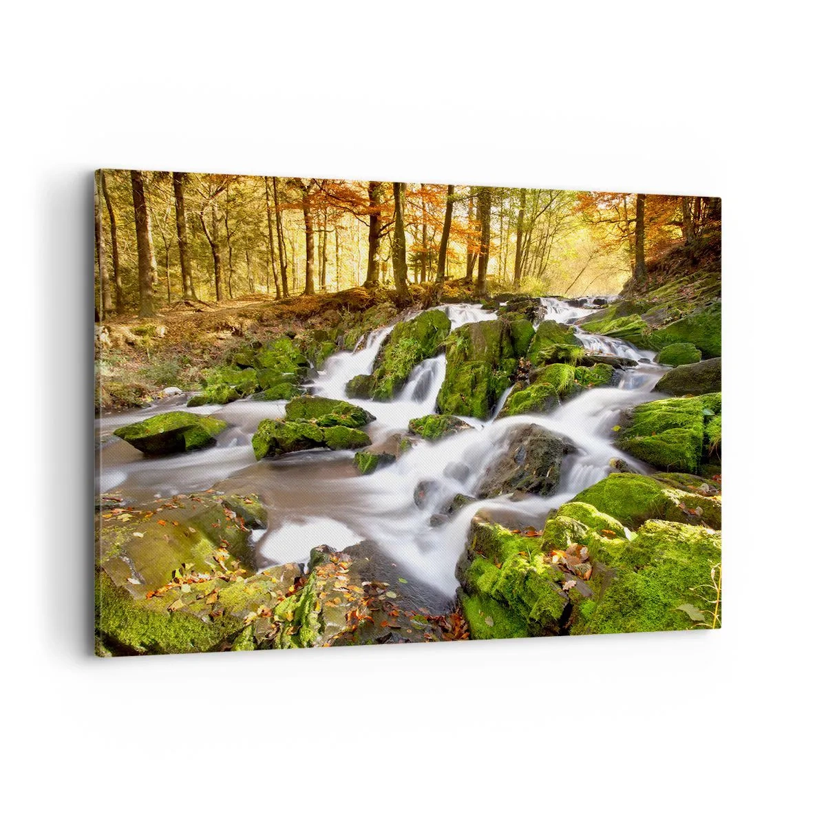 Schilderen op canvas - Snel door het herfstbos - 120x80 cm