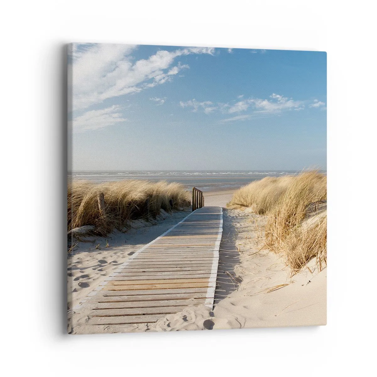 Schilderen op canvas - Achter het duin, in het ruisen van gras - 40x40 cm