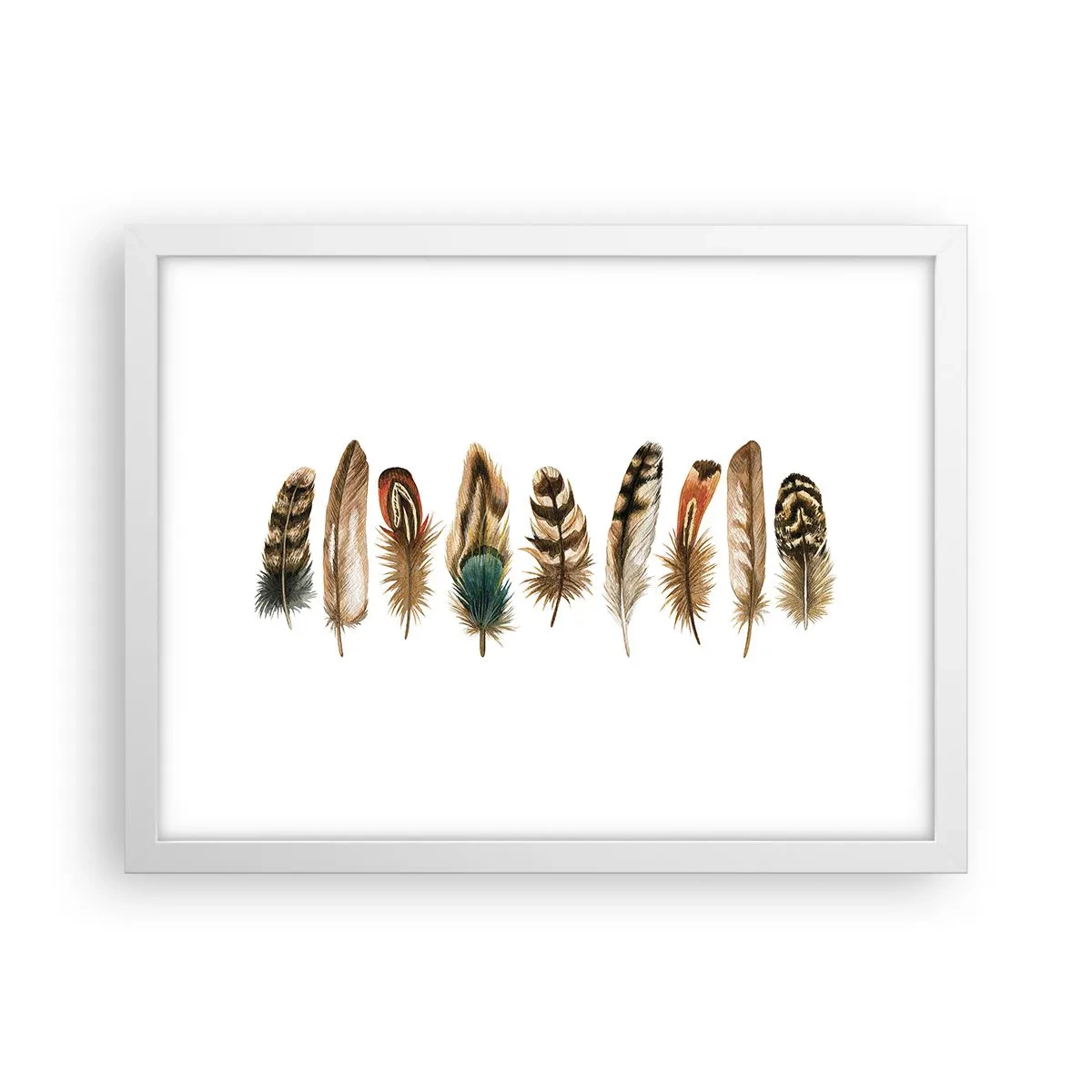 Poster in een witte lijst - Een gevederde variatie - 40x30 cm