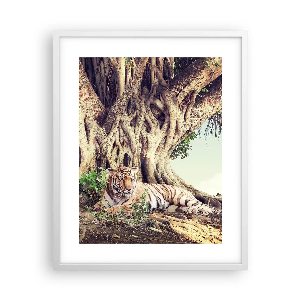 Poster in een witte lijst - Uitzicht vanuit het boek Genesis - 40x50 cm