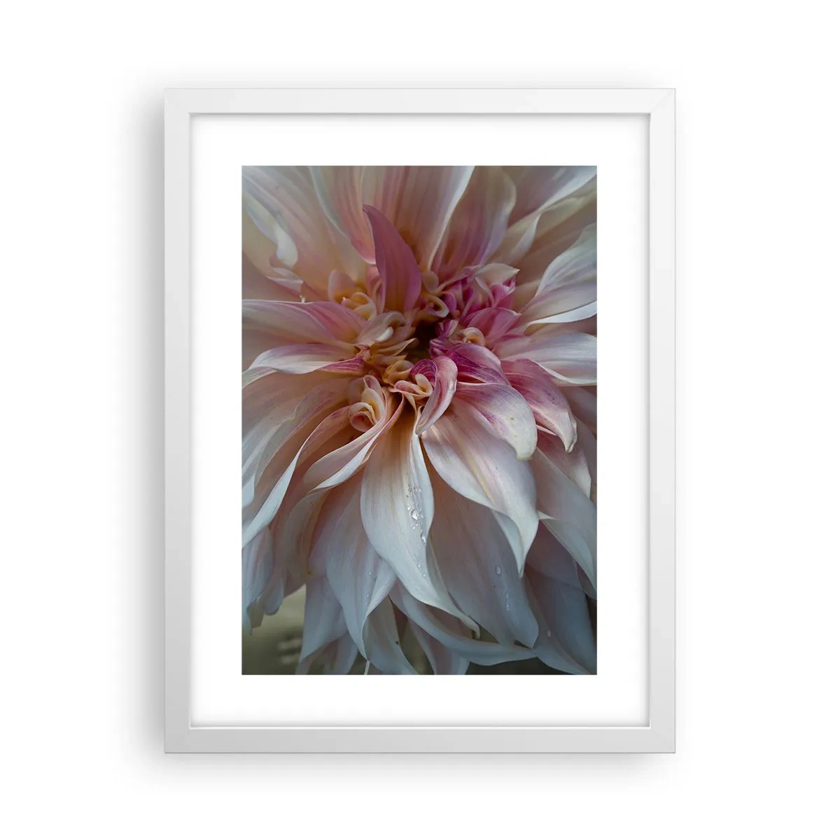 Poster in een witte lijst - Bloeiende frisheid - 30x40 cm