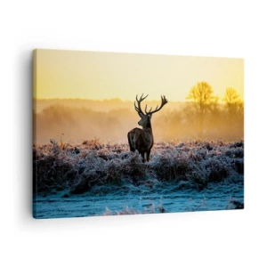 Schilderen op canvas - Een hert op een bevroren open plek bij zonsopgang - 70x50cm - Gekroond op zijn landgoed - Moderne wanddecoratie voor woonkamer en slaapkamer ARTTOR