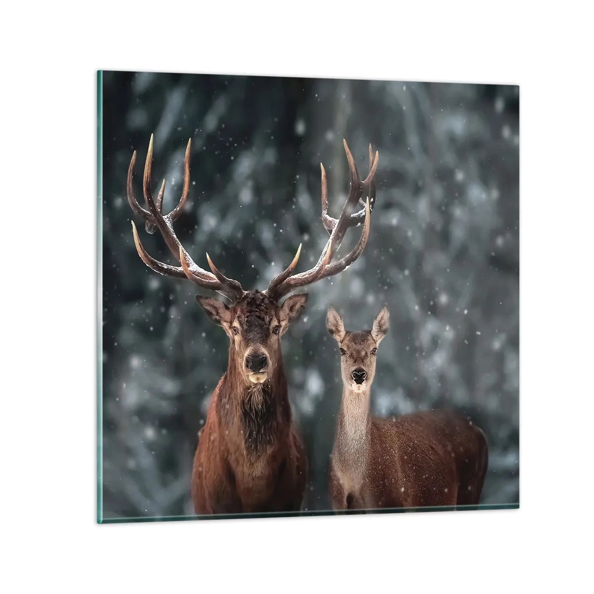 Schilderen op glas - Heer van het bos met zijn vrouw - 70x70 cm
