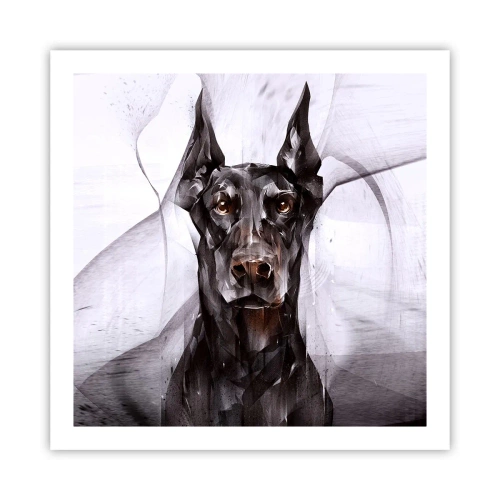 Poster - Hooggeboren - 60x60 cm