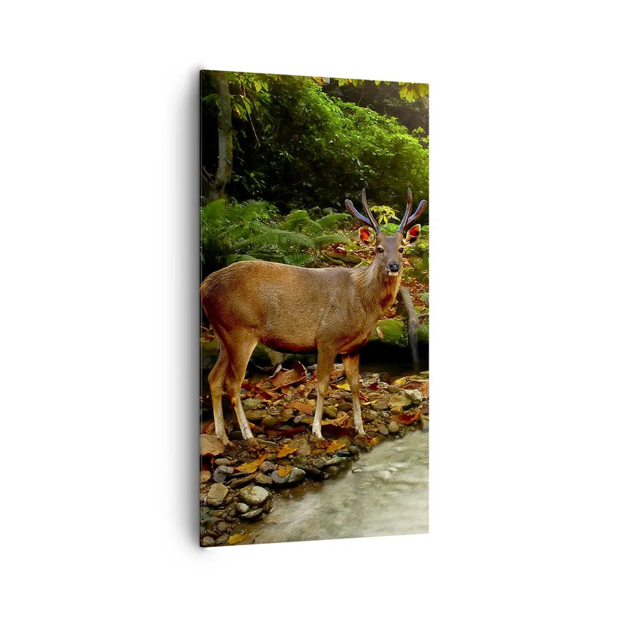 Schilderen op canvas - Welkom in mijn wereld - 65x120 cm