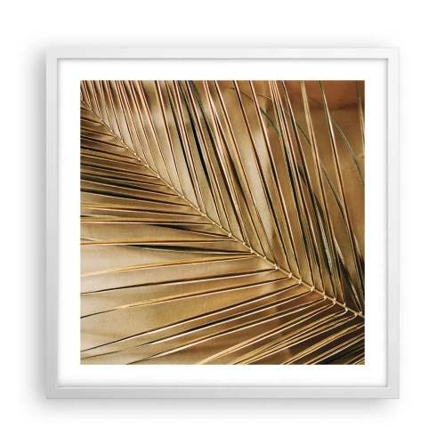 Poster in een witte lijst - Natuurlijke zuilengalerij - 50x50 cm