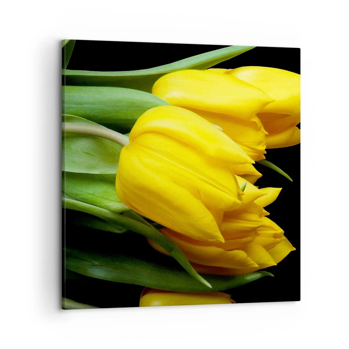 Schilderen op canvas - Gemaakt van heldere zon - 50x50 cm