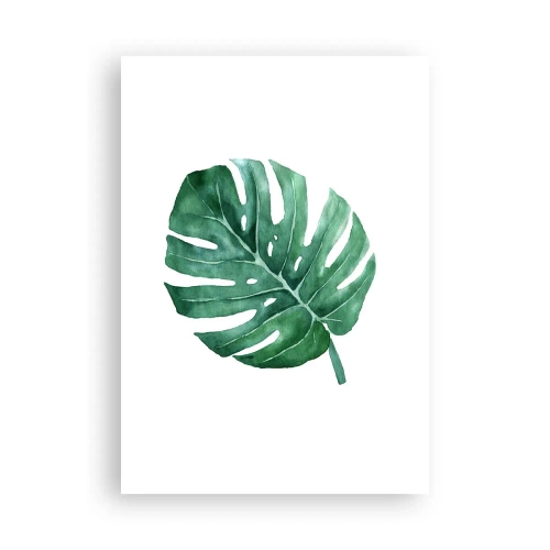 Poster - Groen concept - 70x100 cm