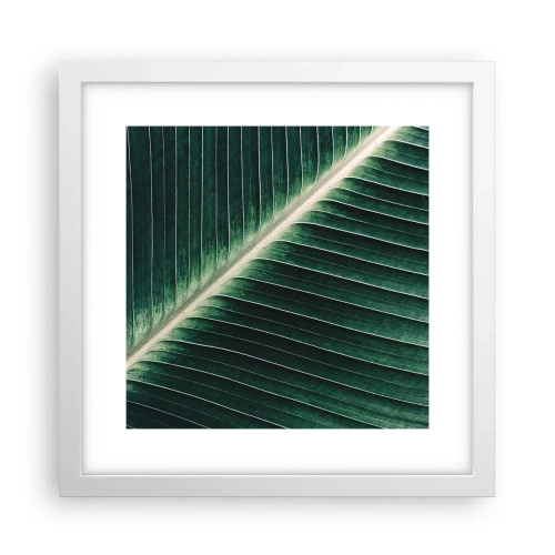 Poster in een witte lijst - Het ritme van de natuur - 30x30 cm