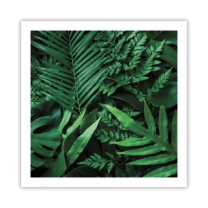 Poster - Ineengedoken in het groen - 60x60 cm