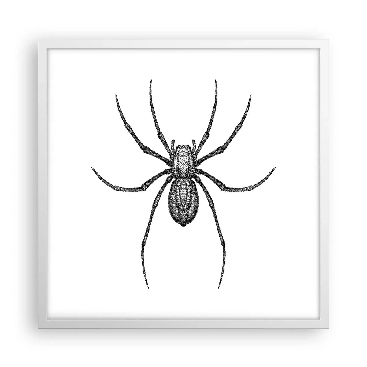 Poster in een witte lijst - Verontrustende precisie - 50x50 cm