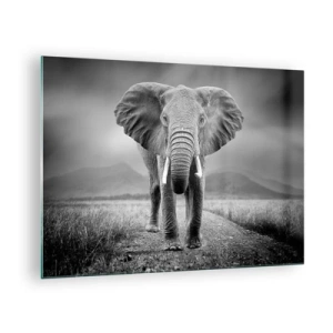 Schilderen op glas - Olifant op de savanne in zwart-wit - 70x50cm - De gastheer heet je welkom - Moderne wanddecoratie voor woonkamer en slaapkamer ARTTOR