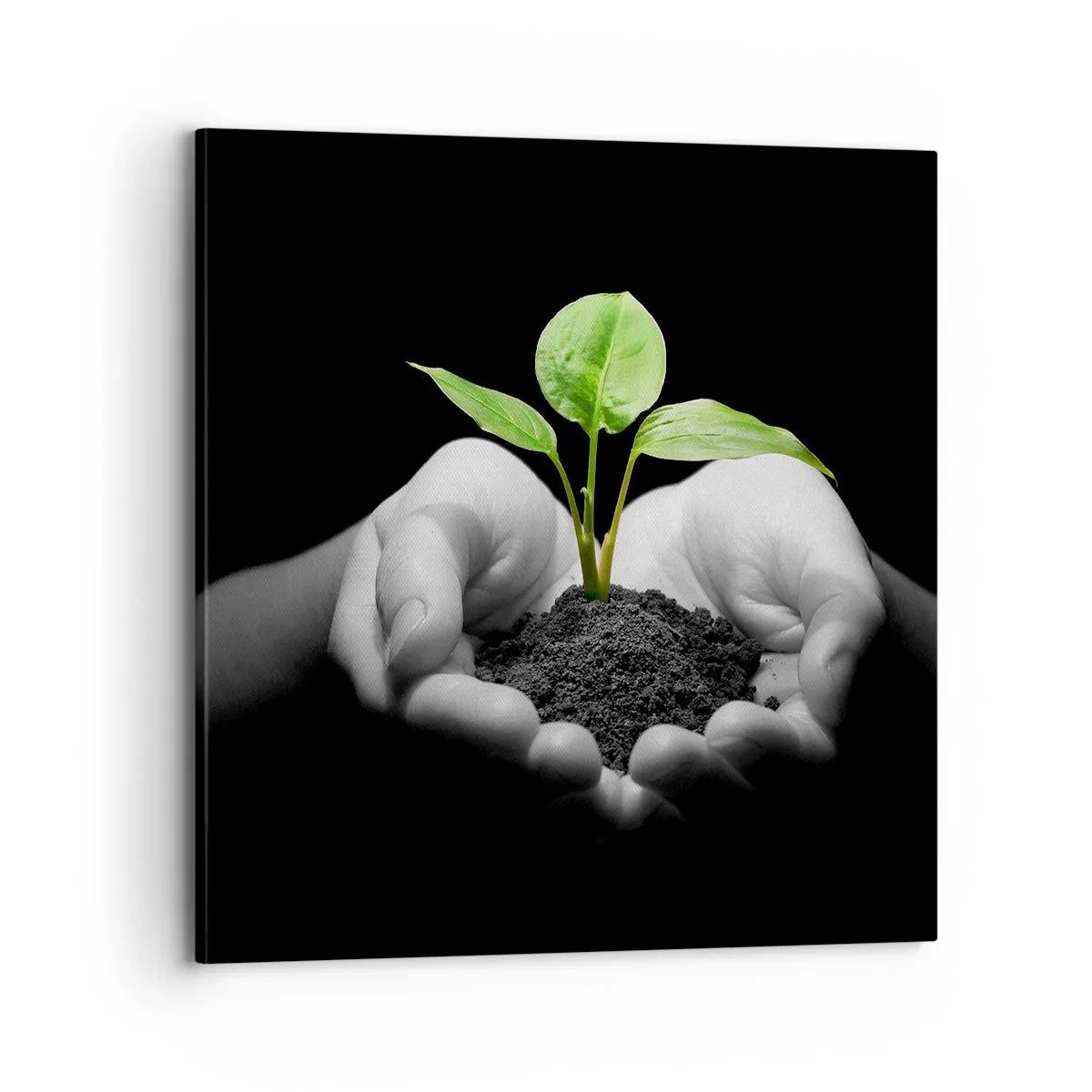 Schilderen op canvas - Ik hou van de natuur, ik bescherm haar - 70x70 cm