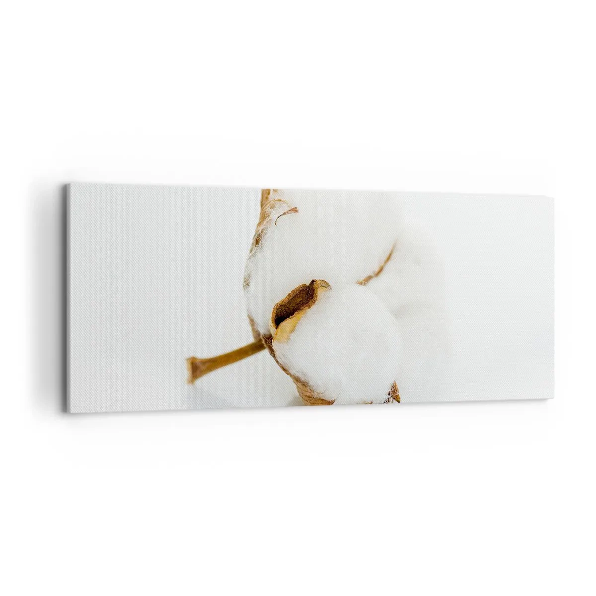 Schilderen op canvas - Zacht van aard - 120x50 cm