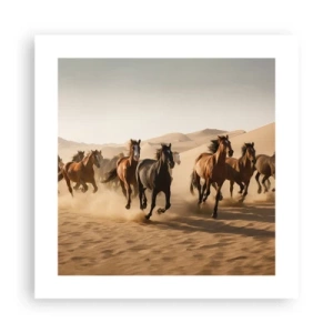 Poster - Vrij als de wind - 40x40 cm
