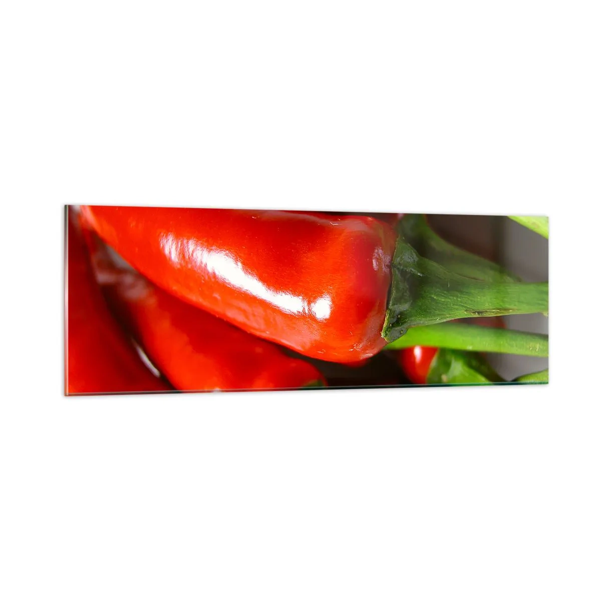 Schilderen op glas - Sappig, glanzend, glad - 90x30 cm