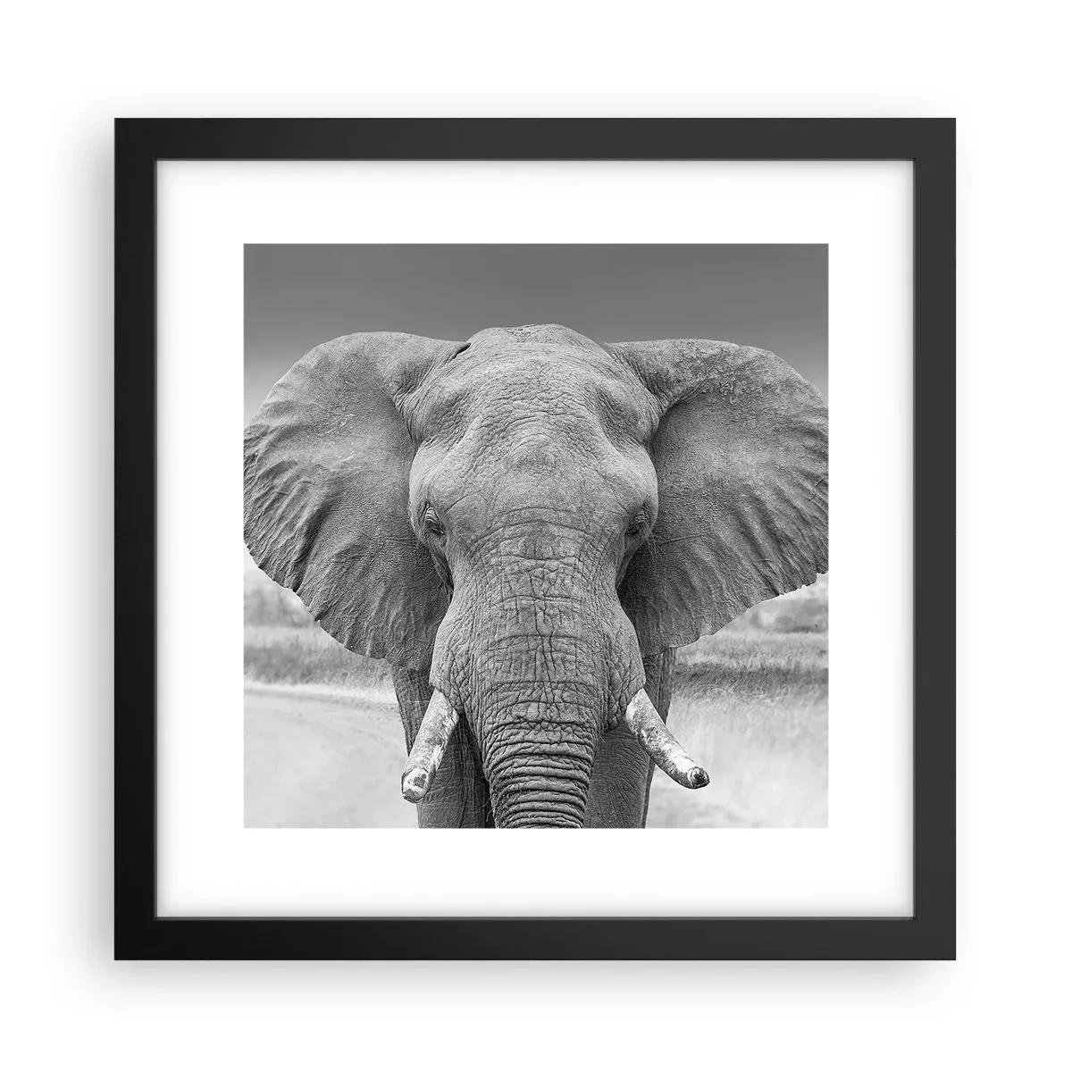 Poster in een zwarte lijst - Welkom in mijn wereld - 30x30 cm