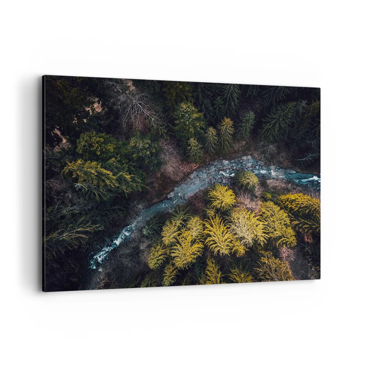 Schilderen op canvas - Snel, sneller en sneller - 120x80 cm