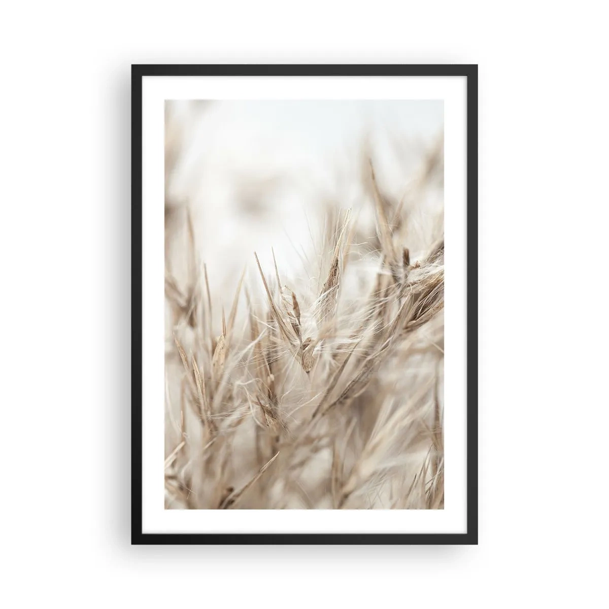 Poster in een zwarte lijst - Fijne grassprieten in beige - 50x70cm - Weide en wind - Moderne wanddecoratie voor woonkamer en slaapkamer ARTTOR