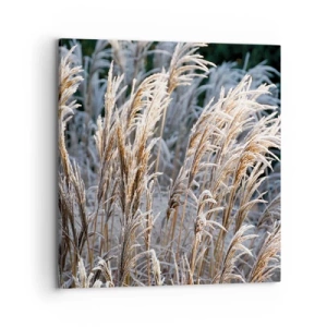 Schilderen op canvas - Gekleed met vorst - 70x70 cm