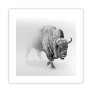 Poster - Koning van de prairie - 40x40 cm