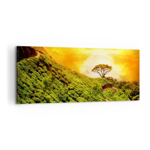 Schilderen op canvas - Een kronkelend pad, een groene helling - 100x40 cm