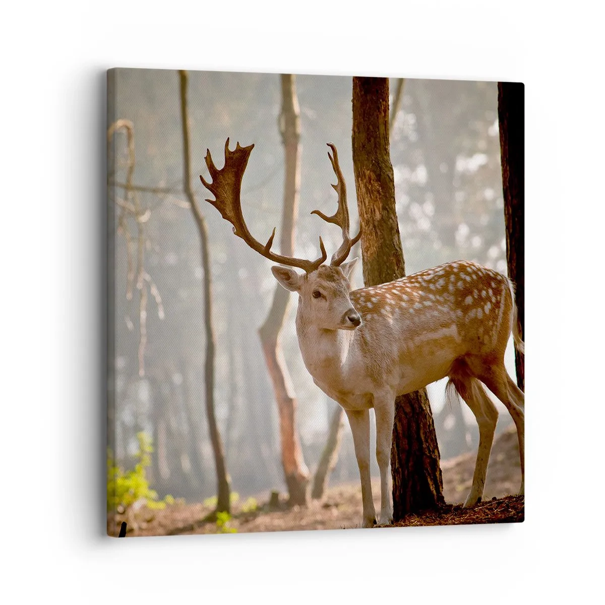 Schilderen op canvas - Het licht van de jeugd - 30x30 cm