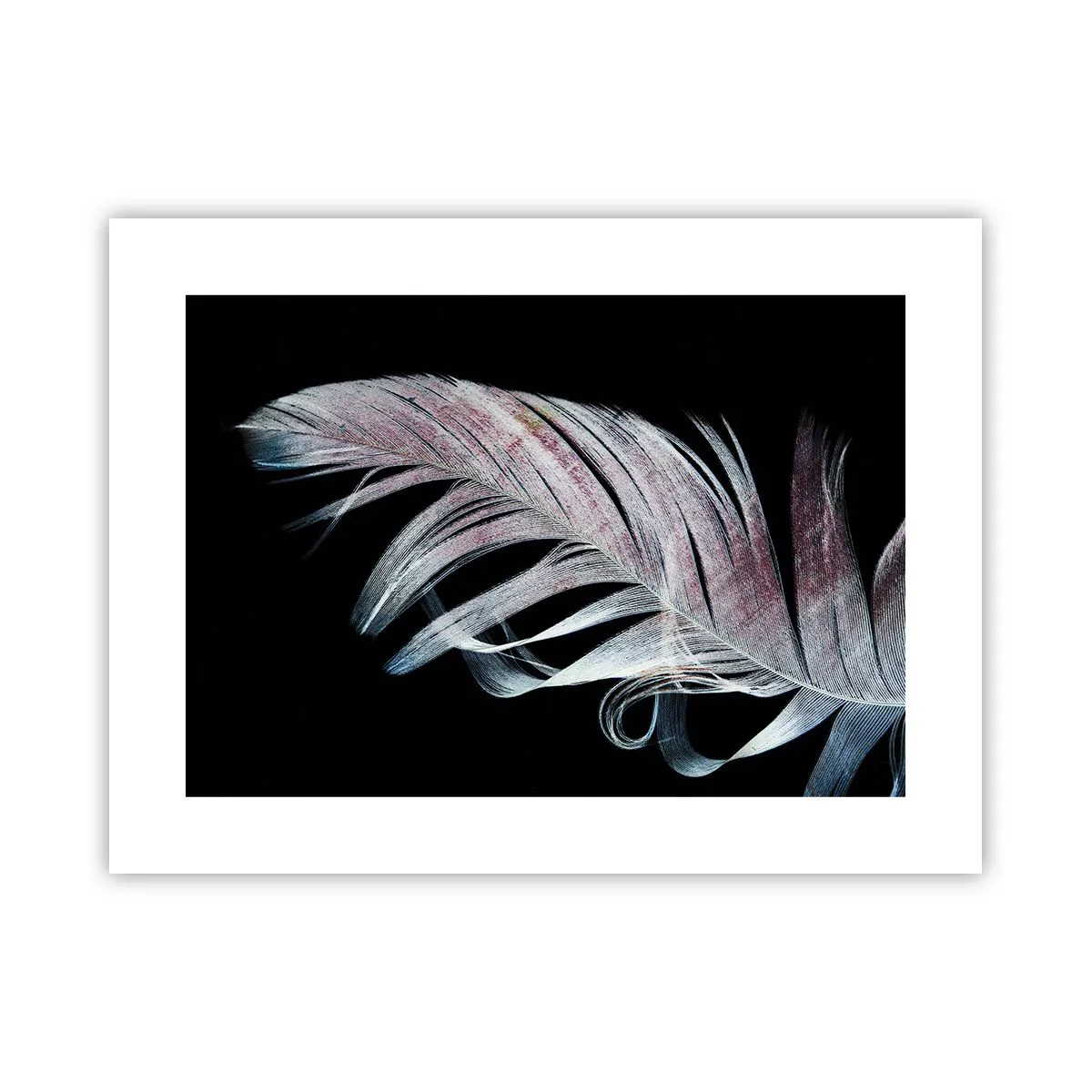 Poster - Denk aan aanraking - 40x30 cm