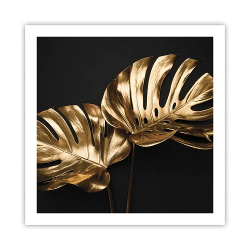 Poster - De schatten van de natuur - 60x60 cm