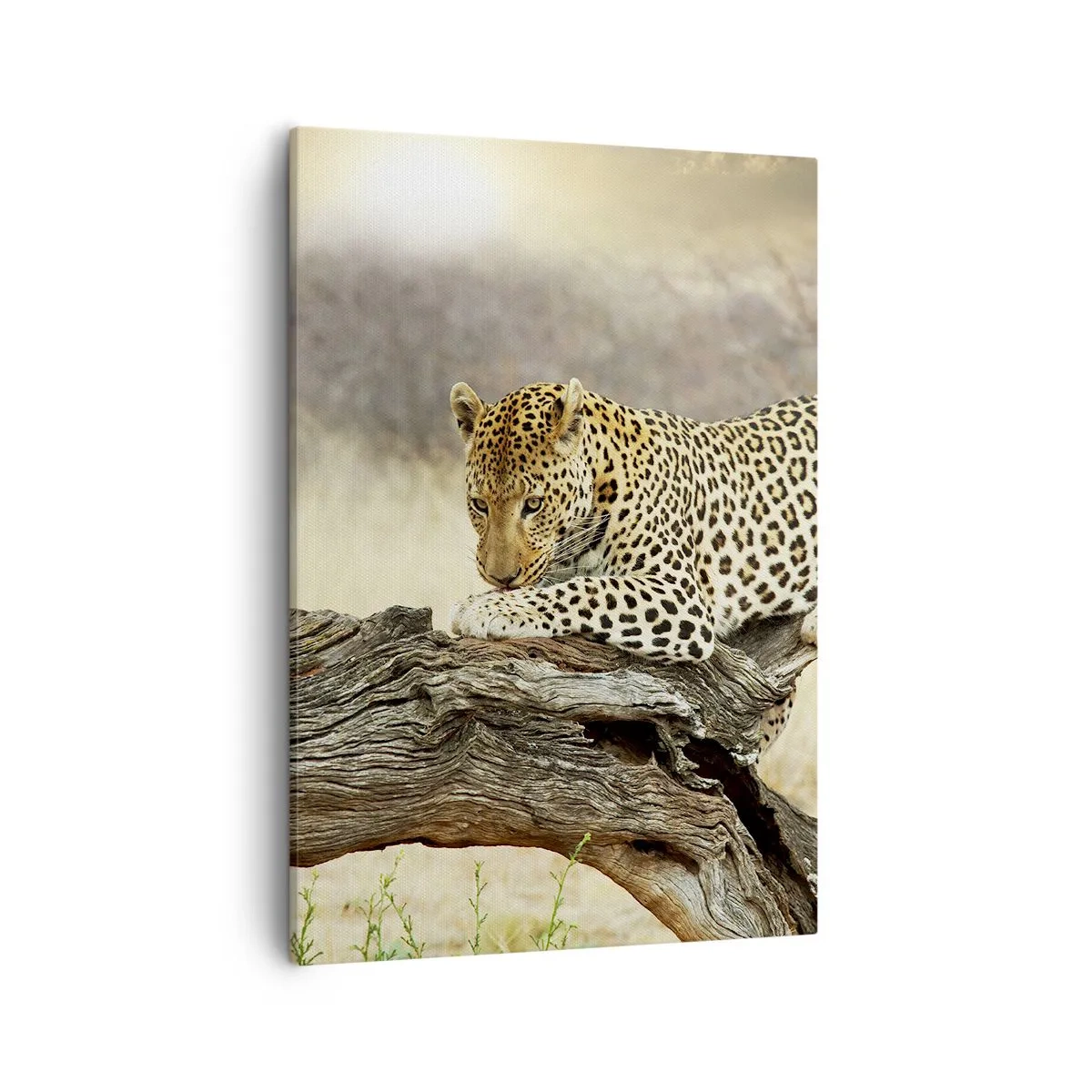 Schilderen op canvas - Ik ga mijn eigen weg - 50x70 cm