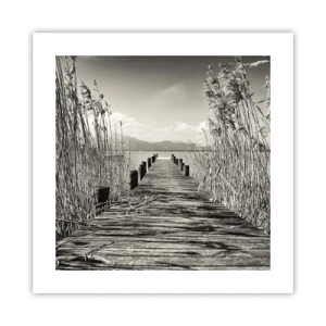 Poster - In de stilte van het gras - 40x40 cm