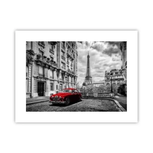 Poster - Roofdier in de stad - 40x30 cm