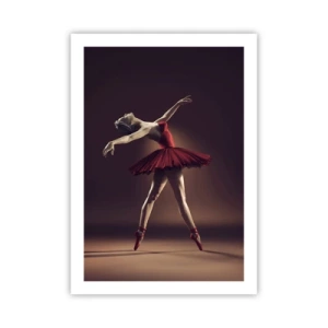 Poster - Een prima ballerina - 50x70 cm