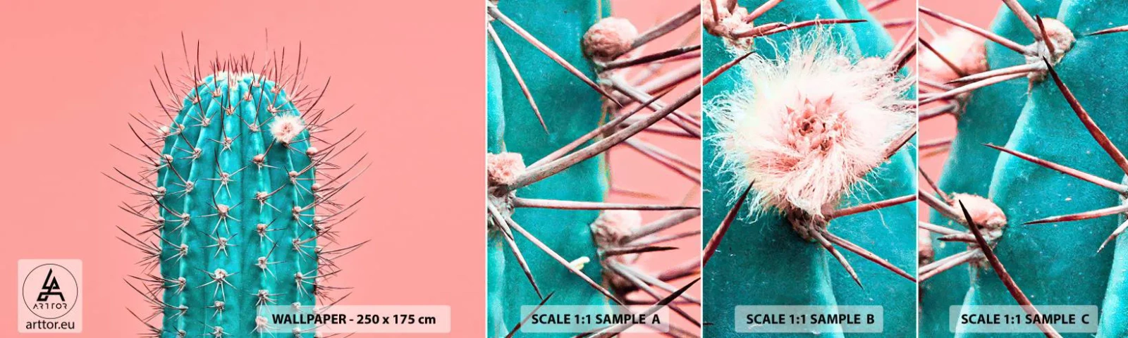 Fotobehang Staaltje Standard Eco - Kijk gewoon - Cactus, Pastel, Minimalisme - 100x30 cm